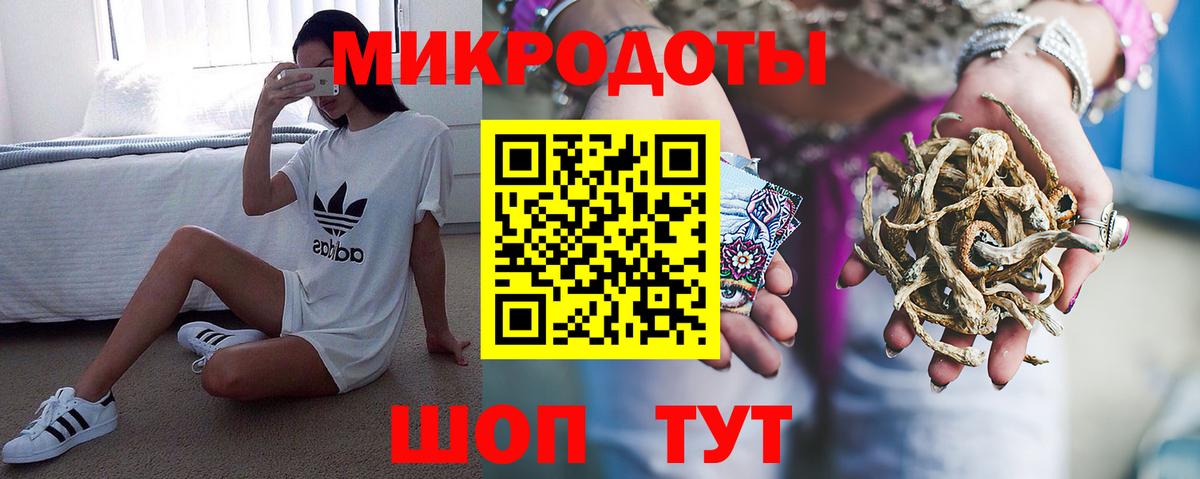 Подольск  Галлюциногенные грибы Psilocybe  Вход с VPN 