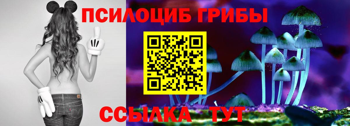 Псилоцибиновые грибы GOLDEN TEACHER Подольск